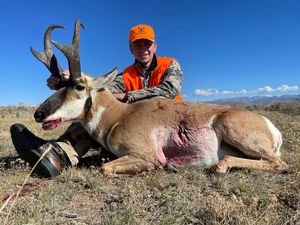 Antelope